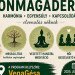 EGY NAP ÖNMAGADÉRT