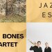 ROM JAZZ EST